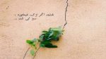 دانلود آهنگ گولوم آی گوله گوله